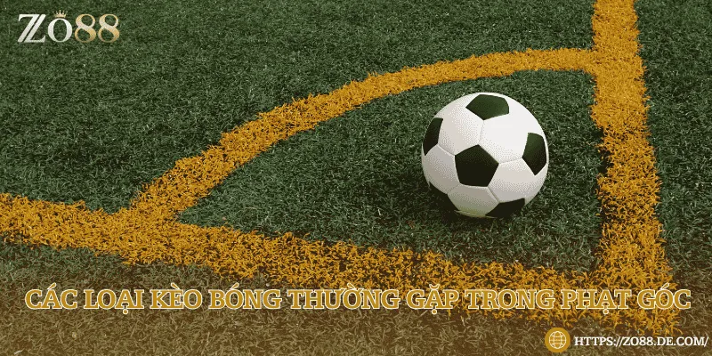 Tổng hợp những loại kèo cược phạt góc trong cá độ bóng đá