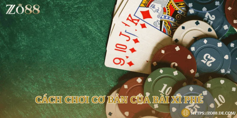 Trải nghiệm poker tại Zo88 cùng những tay bài đỉnh cao Quy định cách chơi bài xì tố cơ bản