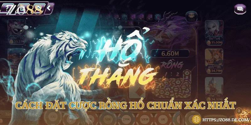Cách đặt Rồng hổ chuẩn xác và mẹo chơi thắng lớn Các cách cược Rồng hổ để giành chiến thắng dễ dàng