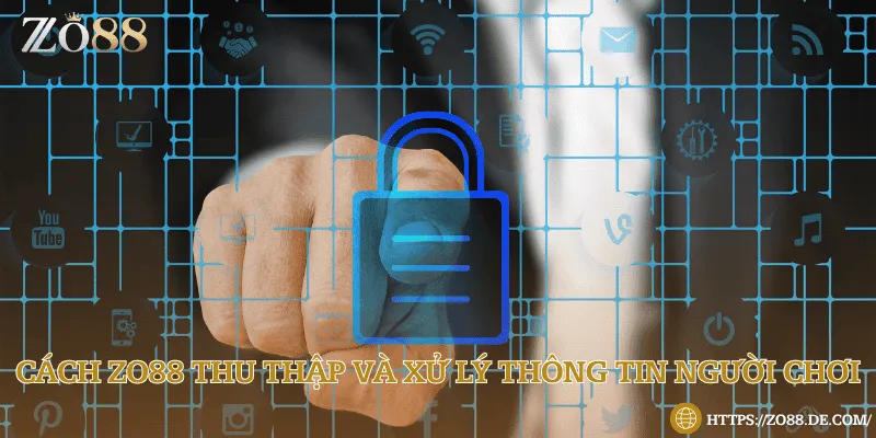 Chính Sách Bảo Mật Zo88 - An Toàn Và Bảo Mật Tuyệt Đối Cách Zo88 thu thập và xử lý thông tin người chơi