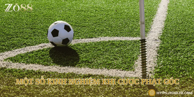 Soi kèo dựa trên lực lượng thi đấu, điều kiện sân bóng