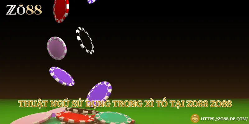 Các thuật ngữ cơ bản về lá bài và các vị trí trong bài Xì Tố tại Zo88 cần biết